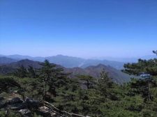 藍天綠樹