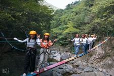 獨(dú)木橋